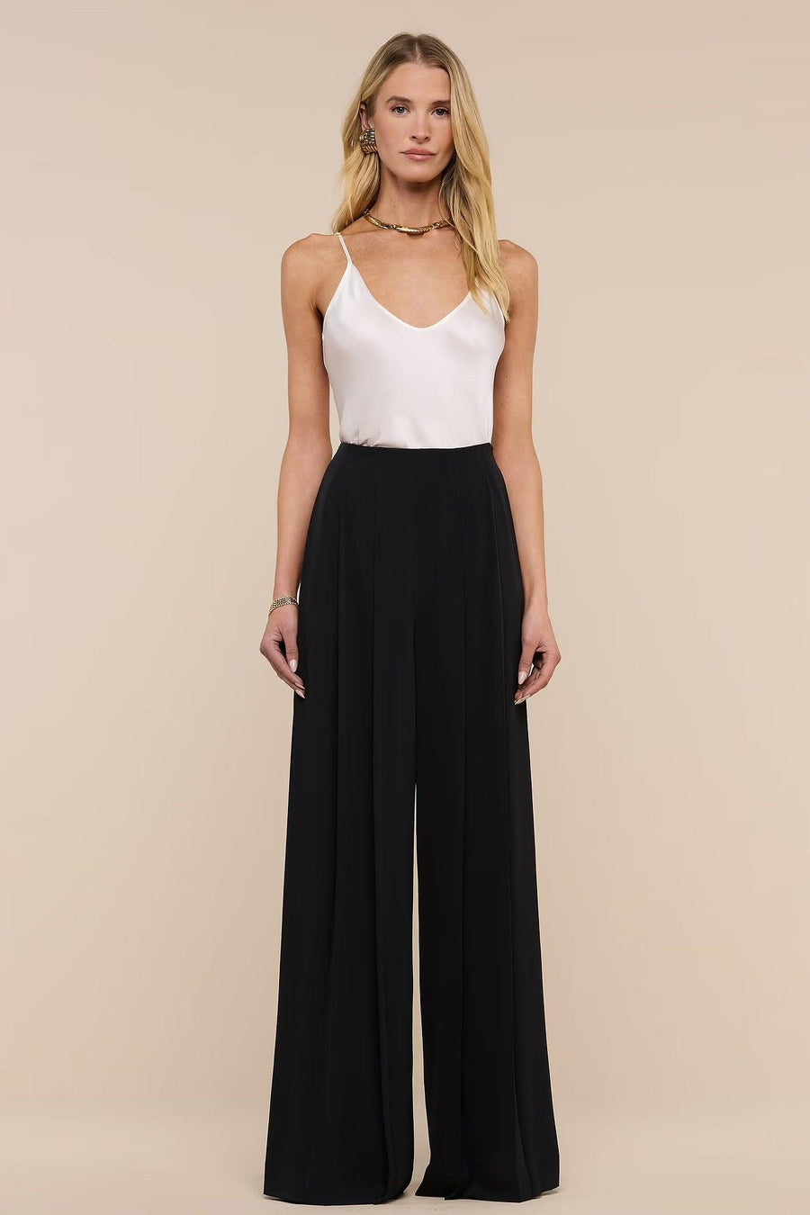 Nova Pleated Wide-Leg Pant Black-L&