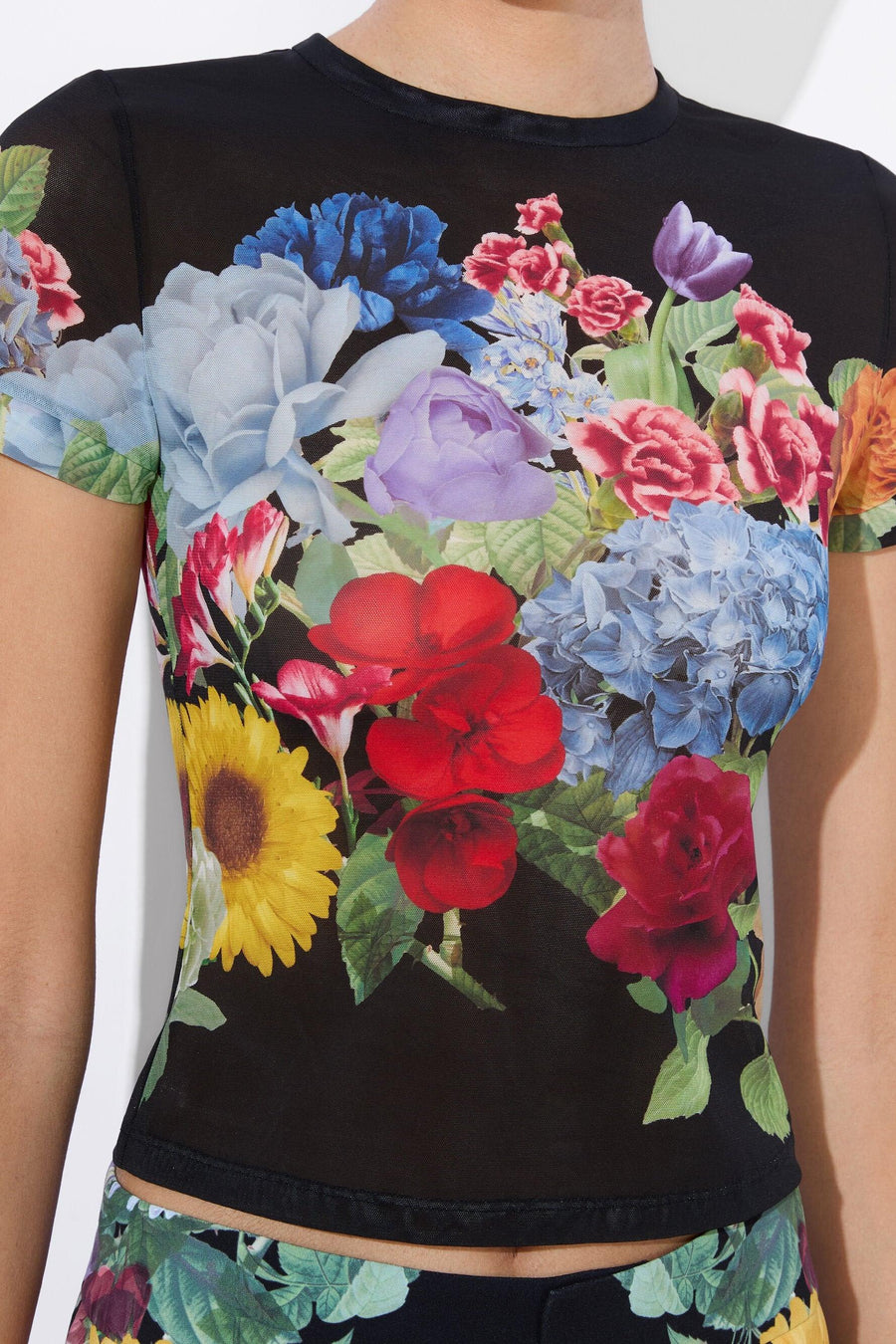 Tess Crewneck-Alice & Olivia-Tocca Finita
