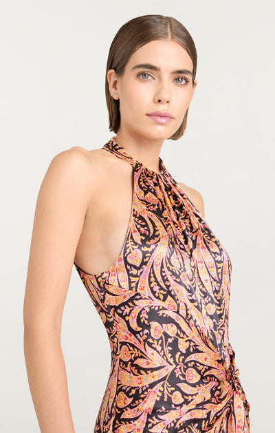 Charming Paisley Teresa Dress in Obsidian Multi-Cinq A Sept-Tocca Finita