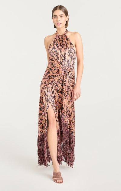 Charming Paisley Teresa Dress in Obsidian Multi-Cinq A Sept-Tocca Finita