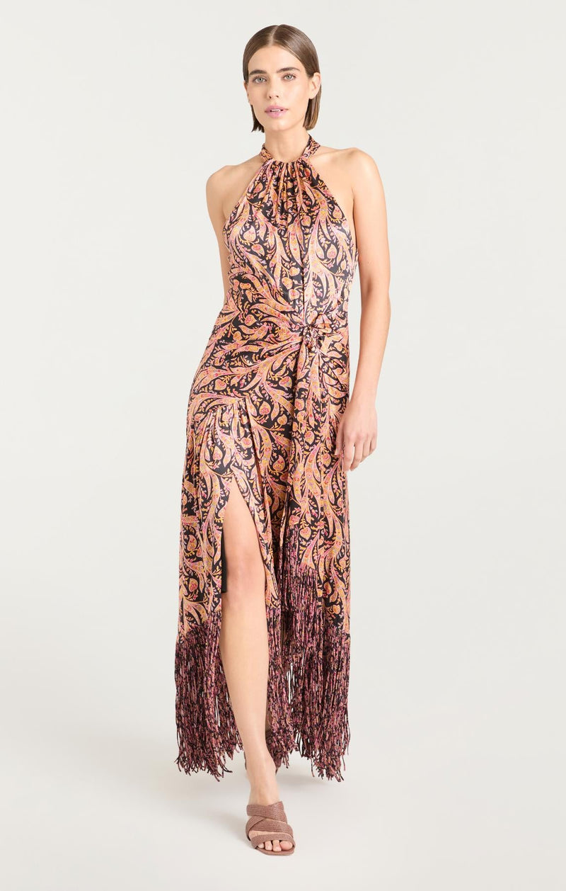Charming Paisley Teresa Dress in Obsidian Multi-Cinq A Sept-Tocca Finita